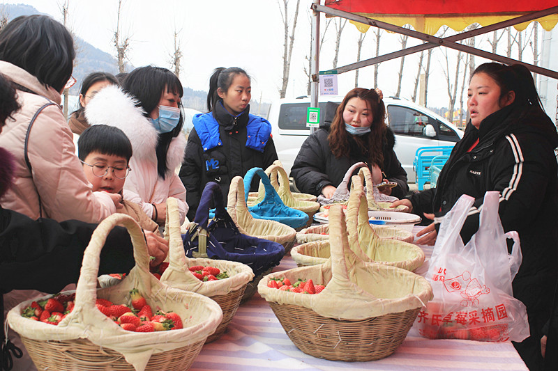 ��ݮ�h��c�´� | ���f�(zh��n)��ɽ�ڲ�ݮ��ժ��Ȥ���������w�(y��n)�e����ζ