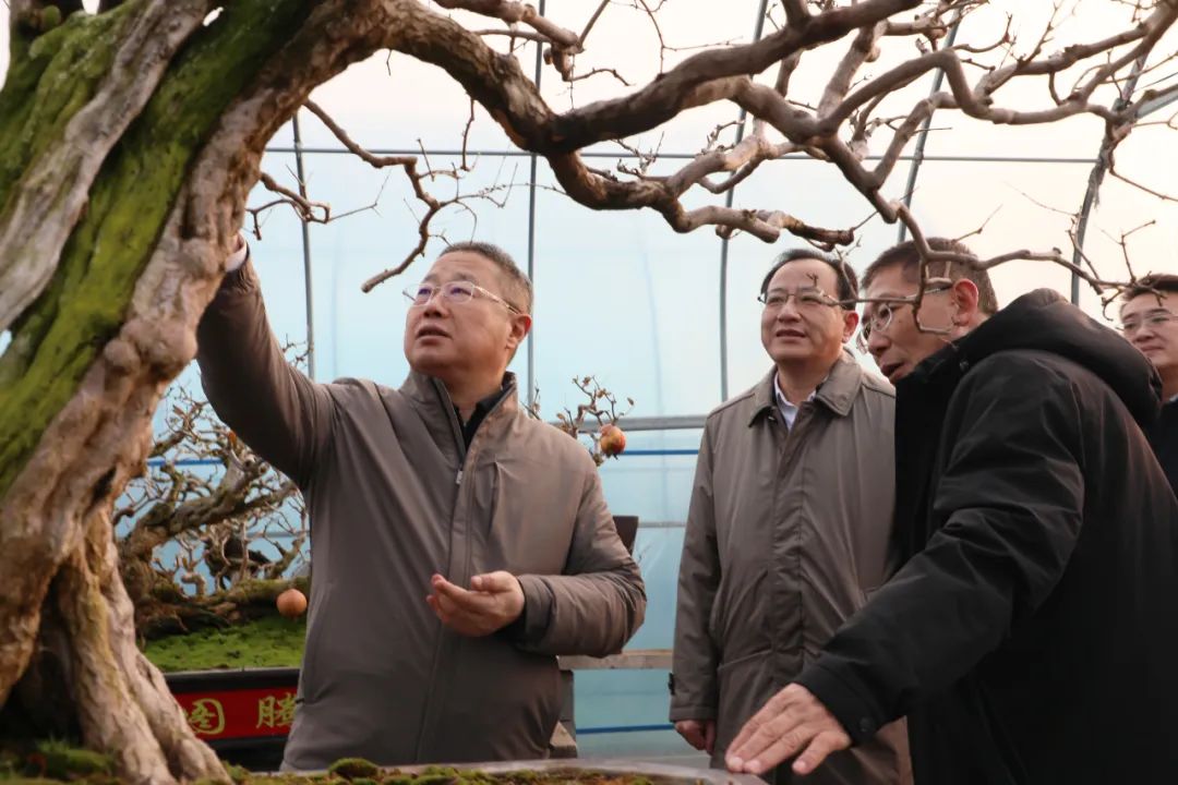 ���f��ί����ӛ������ί��ӛ����(gu��)�ށ�(l��i)�F�ǅ^(q��)�{(di��o)��ʯ��a(ch��n)�I(y��)�l(f��)չ����